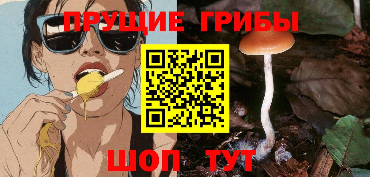 Галлюциногенные грибы GOLDEN TEACHER  Вход с VPN  Можга 