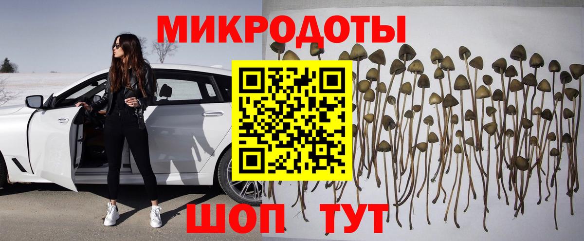 Псилоцибиновые грибы MAGIC MUSHROOMS Можга